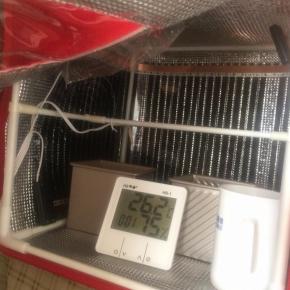 在36度环境下加一杯热水增加湿度进行第二次发酵