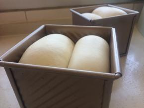 发到9分满，准备是烤加盖的，发至8分满即可，烤箱上下火200度预热