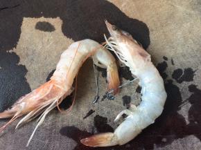 虾去壳后用小刀剔除虾线