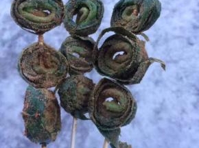 卷起来，撒上各种调料粉