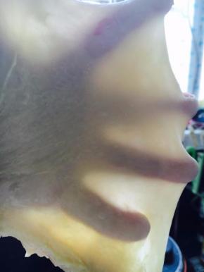 检查面团状态是否可加入黄油。这样就可以了