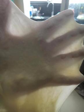 加入黄油后和面结束状态