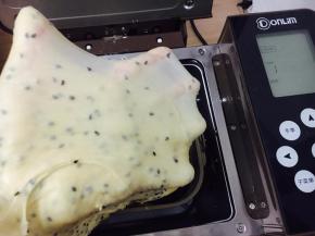 一不小心就揉出手膜了，东菱t18w这款面包机真心不错！