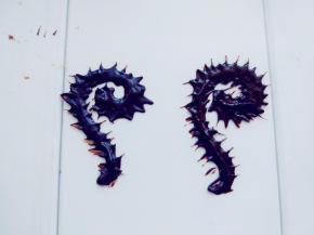 同样操作，将画在转印纸上的炸毛的猫尾巴冷藏凝固后，用少许巧克力粘到甜甜圈上即可。