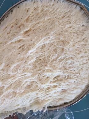 扯开有蜂窝状组织即发酵成功