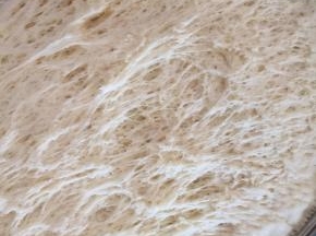 扯开有蜂窝状组织即发酵成功