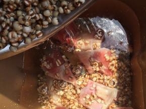 面包机桶装入适量水，将猪大骨和薏米倒入