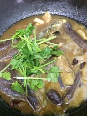 炖熟后关火，出锅撒上香菜，这是一道半汤的炖菜