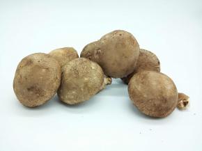 香菇6朵，多吃香菇可以通过人体免疫力，通过抵抗力，