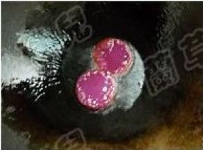 入油锅煎炸，至熟。