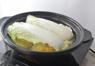在上面再盖上白菜叶，（这一步可以吸多余的油脂）选择慢炖大约1个多小时即可
