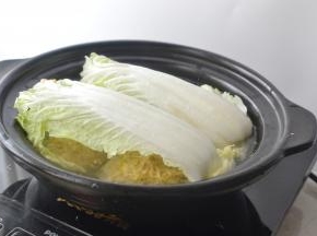 在上面再盖上白菜叶，（这一步可以吸多余的油脂）选择慢炖大约1个多小时即可