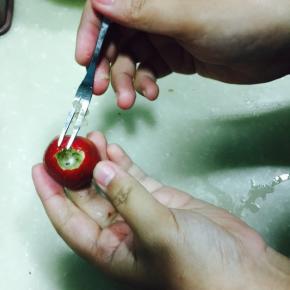 然后用这种吃水果用的小叉子 塞进去 把核挖出来