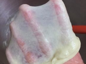 面团揉至完成薄薄的手套膜