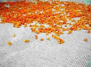 将其平铺开，放阴凉处晾至刚从树上采摘下来的状态