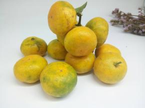 新鲜的桔子来一斤，现在也是桔子上市季节，2.5一斤，很便宜