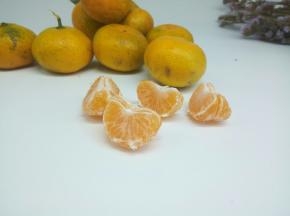 剥好的桔子，分成小块，方便榨汁