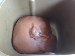 关掉面包机电源，在面包桶上盖一块湿润的布，再盖上面包机盖，发酵30分钟。（如果室温低的话，需要用到面包机的发酵功能）