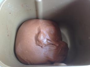 关掉面包机电源，在面包桶上盖一块湿润的布，再盖上面包机盖，发酵30分钟。（如果室温低的话，需要用到面包机的发酵功能）