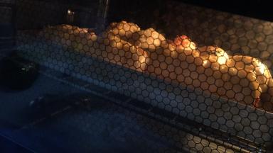 烤箱180度预热好后，把面包放进去，烘烤25分钟就可以出炉啦。（中途上色了，要及时加盖锡纸）