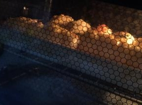 烤箱180度预热好后，把面包放进去，烘烤25分钟就可以出炉啦。（中途上色了，要及时加盖锡纸）