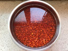 期间换了一次水，没什么卵用，泡了18个小时，豆子少可以减少时间