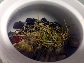 把鸡肉和材料倒入锅里