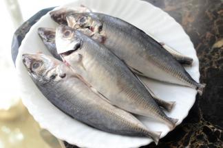 材料：铁甲鱼一斤 辅料：青柠檬 盐 料酒