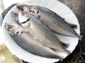 材料：铁甲鱼一斤 辅料：青柠檬 盐 料酒