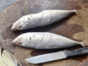 请商家将鱼鳃鱼肚清理后洗干净，在鱼身上划几刀然后加入柠檬汁、盐和料酒抹匀了腌制半个小时