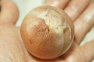 收口包紧，防止烘烤过程爆开。