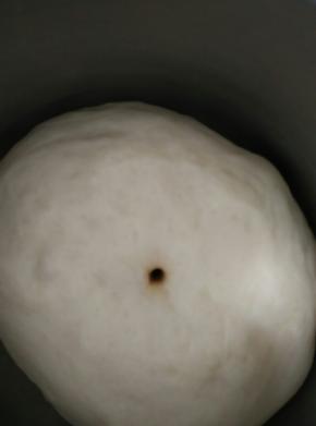 发酵二倍大小时即可，用筷子沾面粉戳个洞不回缩，不塌陷就说明发酵好了