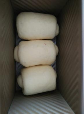 卷好后依次放入吐司盒里面，放入烤箱进行二次发酵