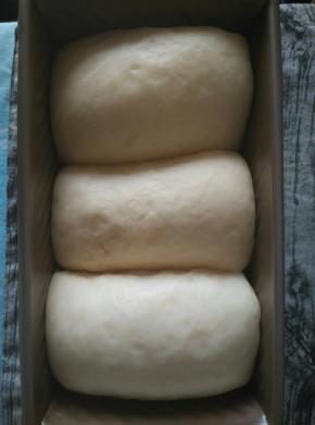 发酵至九分满时取出