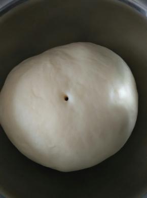 发酵至二倍或者二点五倍大小，不回缩，不塌陷即可