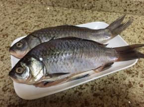 鲜活鲫鱼两条，杀好，备用；肚子上划几刀；