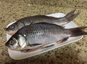 鲜活鲫鱼两条，杀好，备用；肚子上划几刀；