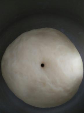 发酵至二倍大或者二点五倍大小时停止发酵，用筷子戳个洞，不回缩不塌陷就证明发酵好了。取出轻柔排气揉圆，盖保鲜膜醒15分钟