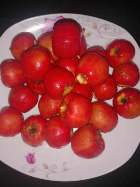 山楂洗净去籽～