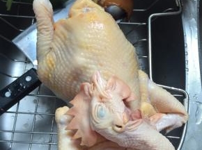 把鸡洗干净