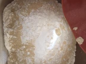 加入酵母