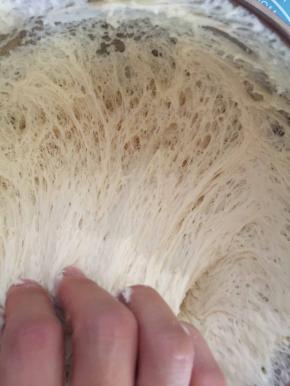 发酵后的面团扯开有蜂窝状组织即发酵成功