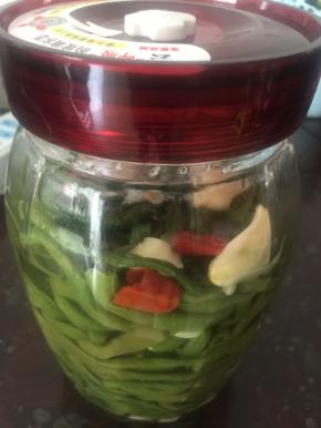 豇豆洗干净，切段开水煮一下，只要变色即可，不要煮熟，捞出沥水，用盐码下，放入密封瓶中，加烧酒（根据豇豆多少下，不要多）放入切好的辣子和拍碎的大蒜头，盖上密封盖，放置三天