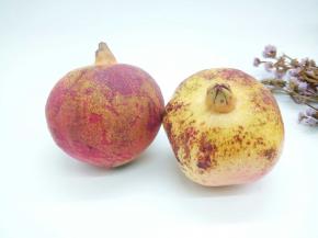 看色泽度，挑选石榴如果发现表皮有黑斑的应该不是很新鲜，要挑选表皮光滑，色泽度较好的，当然一点点的黑斑不影响的。
看皮是否饱满，皮肉紧绷的是新鲜的石榴，比较松弛的就不是很新鲜。


