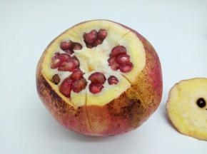 用小刀沿凸起的地方从上到下划一刀，深度只划破。果皮最理想，有几道凸起就划几刀，
