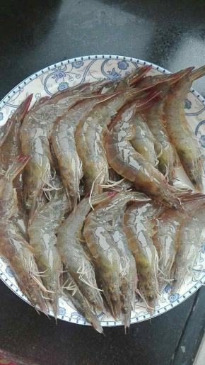 对虾洗净，开背抽筋～