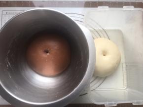 发到面团两倍大，手指蘸粉戳孔不回缩不塌陷