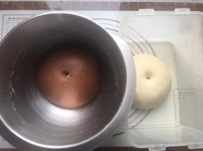 发到面团两倍大，手指蘸粉戳孔不回缩不塌陷