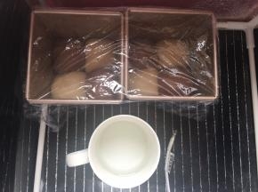 放入温度32度，湿度百分之75环境下进行二发