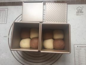 滚圆后如图放入水立方吐司盒中排好